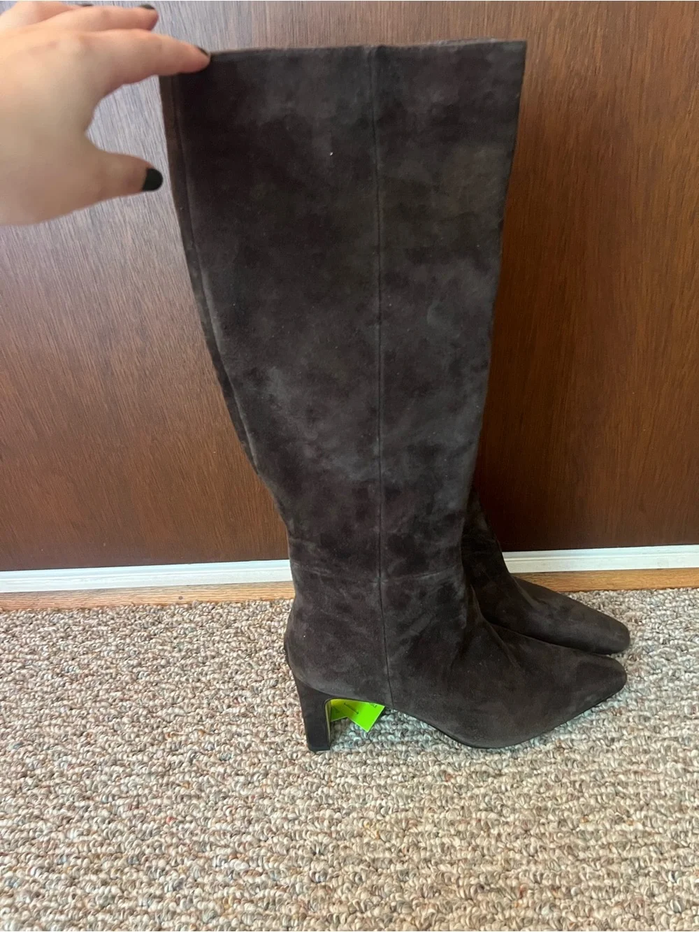 Sam Edelman Dark Brown Tall Suede Knee-High Boot NWT